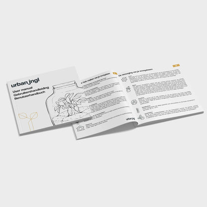 Planten terrarium navulling & startpakket - Calathea Lancifolia