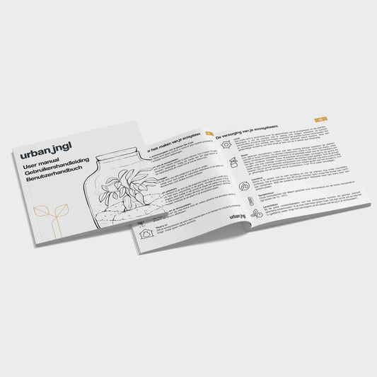 Planten terrarium navulling & startpakket - Calathea Lancifolia