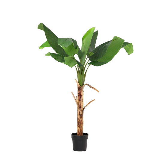 ARTIFICIAL Bananenplant Musa - 150cm