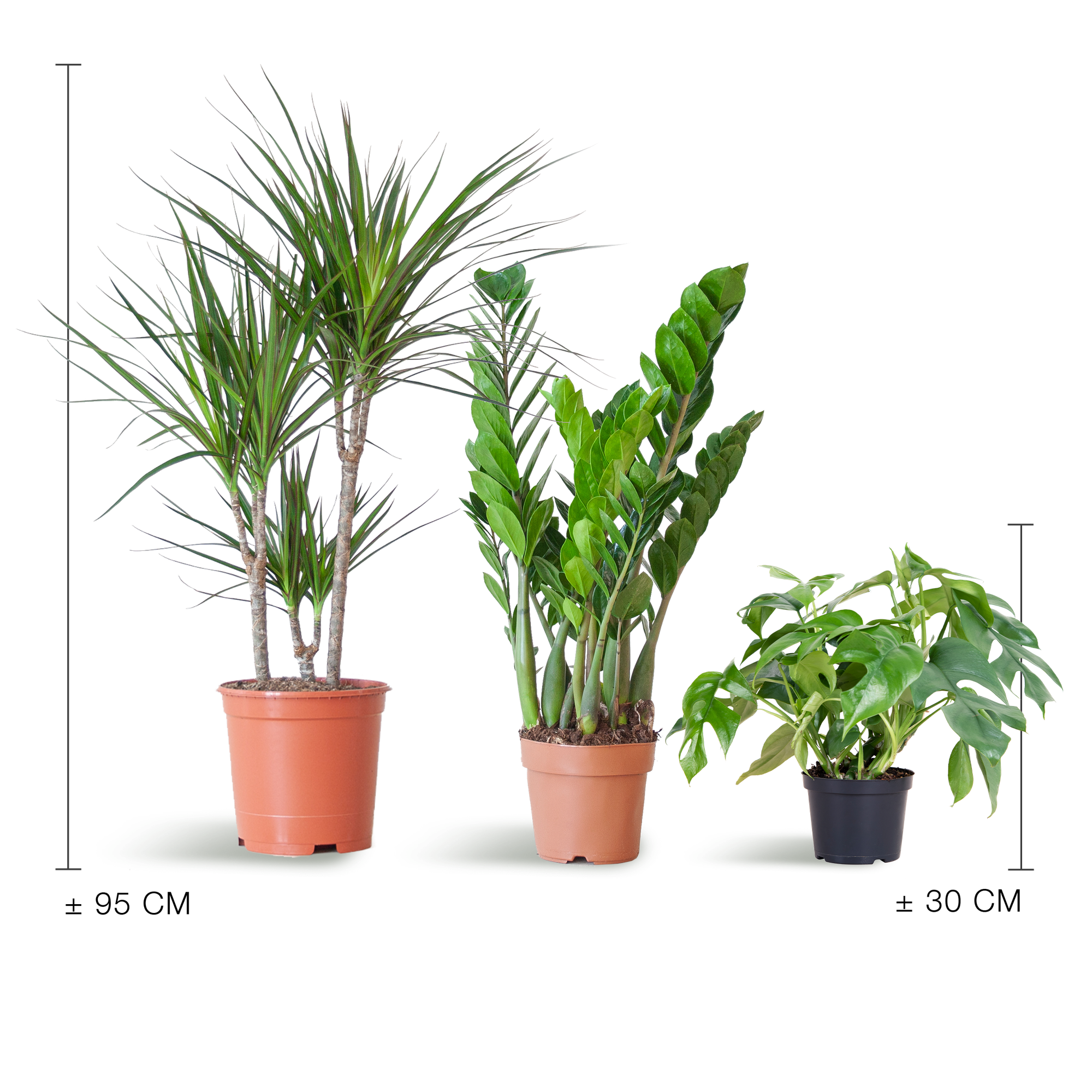 Schaduw Plantenbox - medium - zonder sierpot