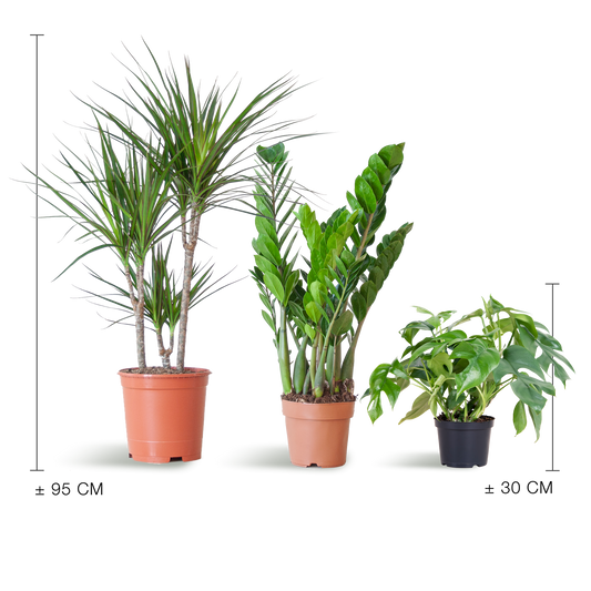 Schaduw Plantenbox - medium - zonder sierpot