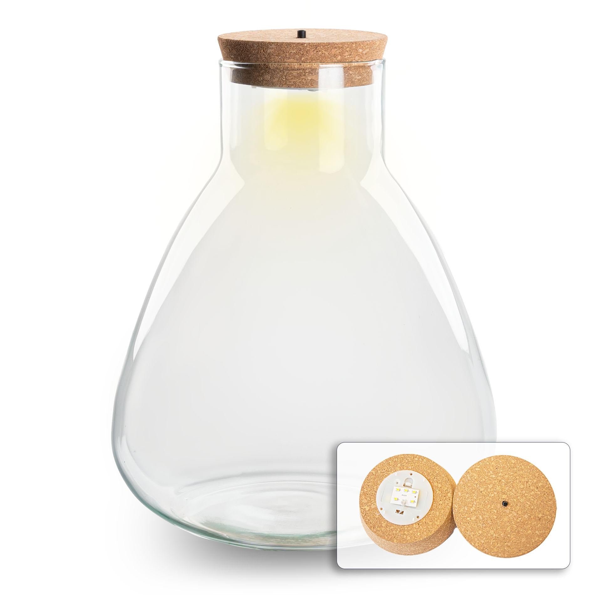 Terrarium fles met verlichting - Sam - Ø 24,5 cm ↑ 30 cm