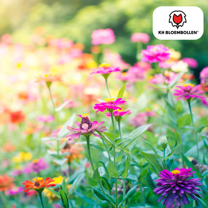 Wilde Bloemenzaad Mengsel – 100 gram | Goed voor Bijen, Vlinders & Biodiversiteit | ± 30–50 m² (100 stuks)
