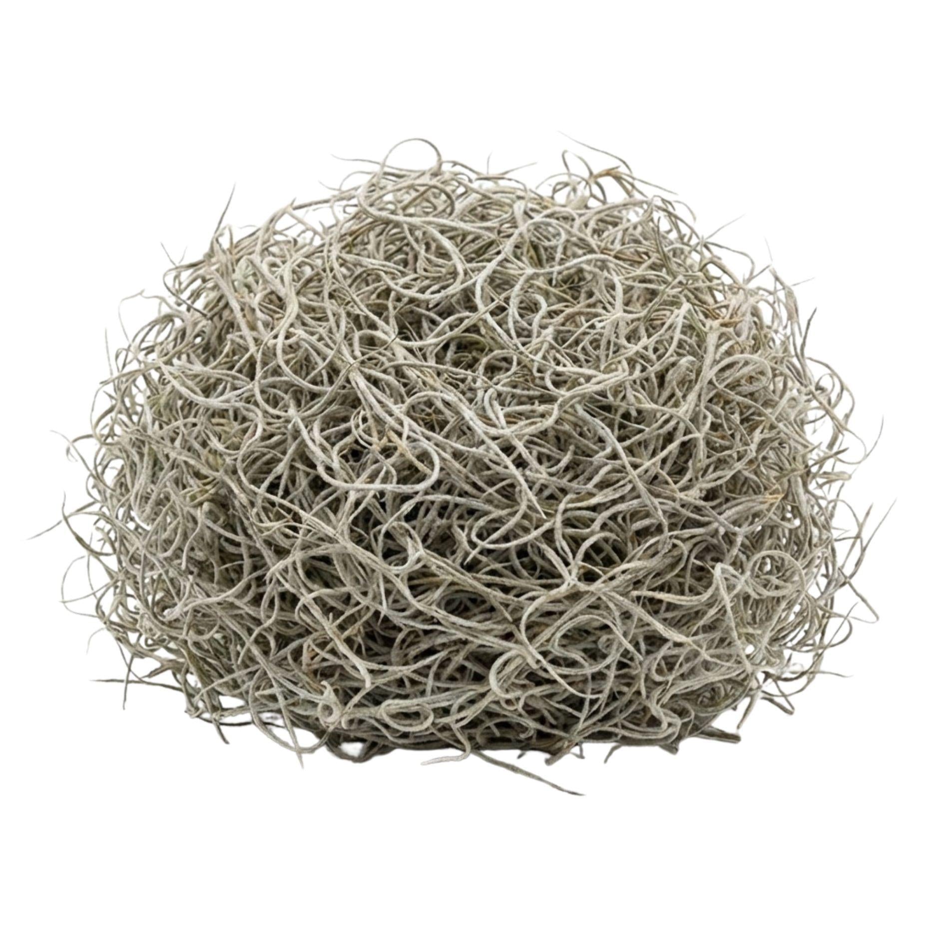 Gedroogd Tillandsia Mos – 1L – Alleen voor decoratief gebruik