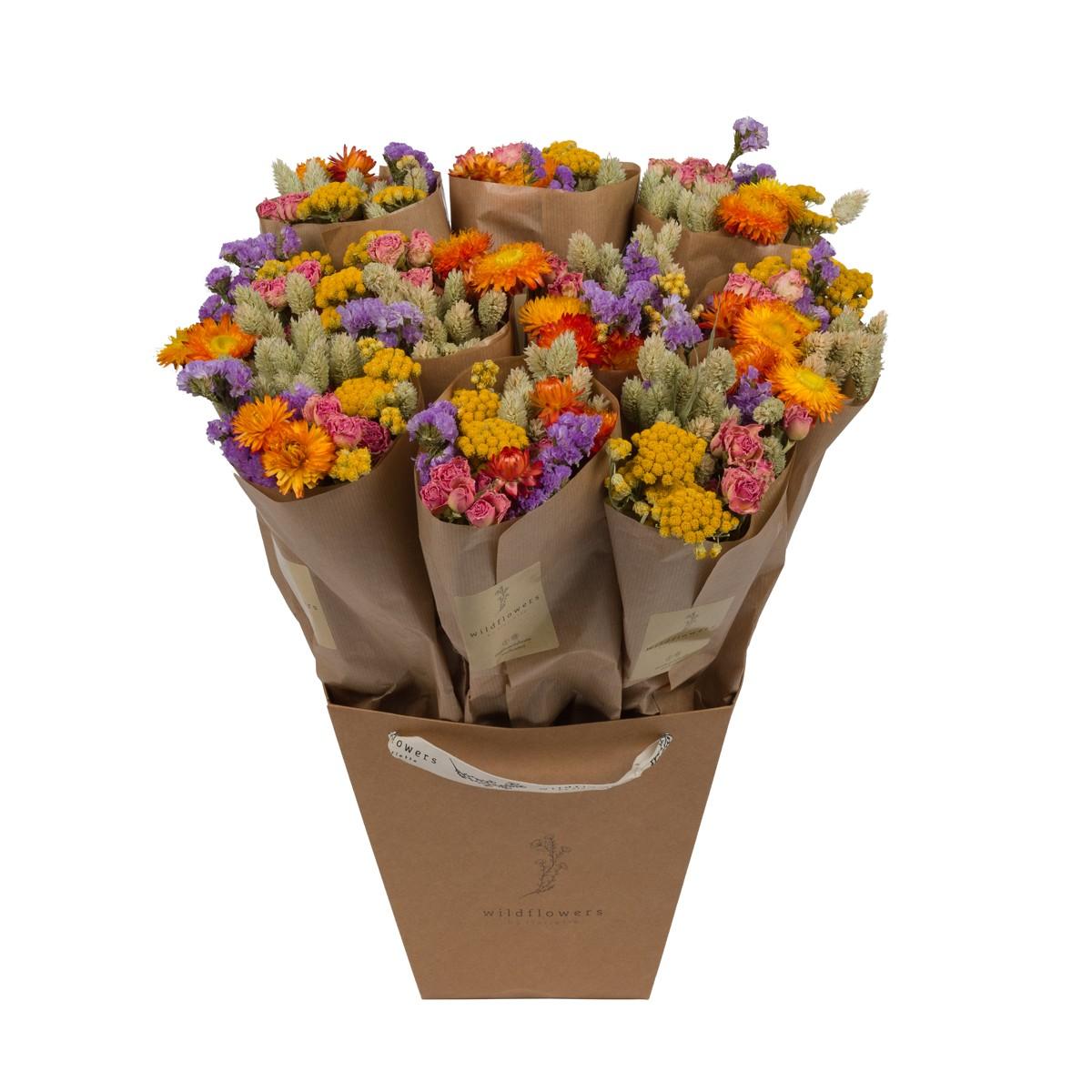 Droogbloemen - Market More - Multi - ↕50cm - 10x