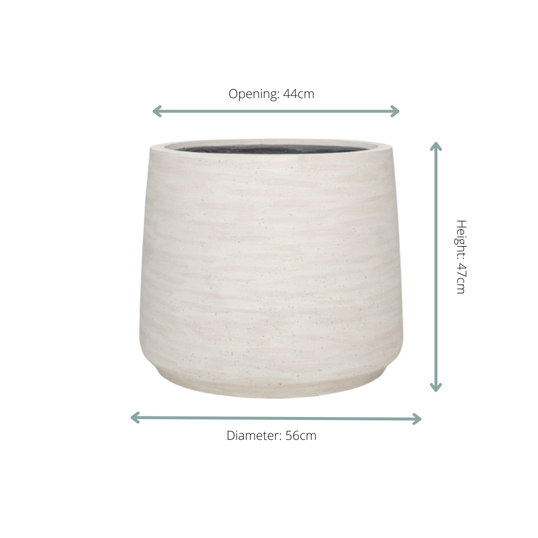 Jumbo Patt Ivory Washed - D56xH47