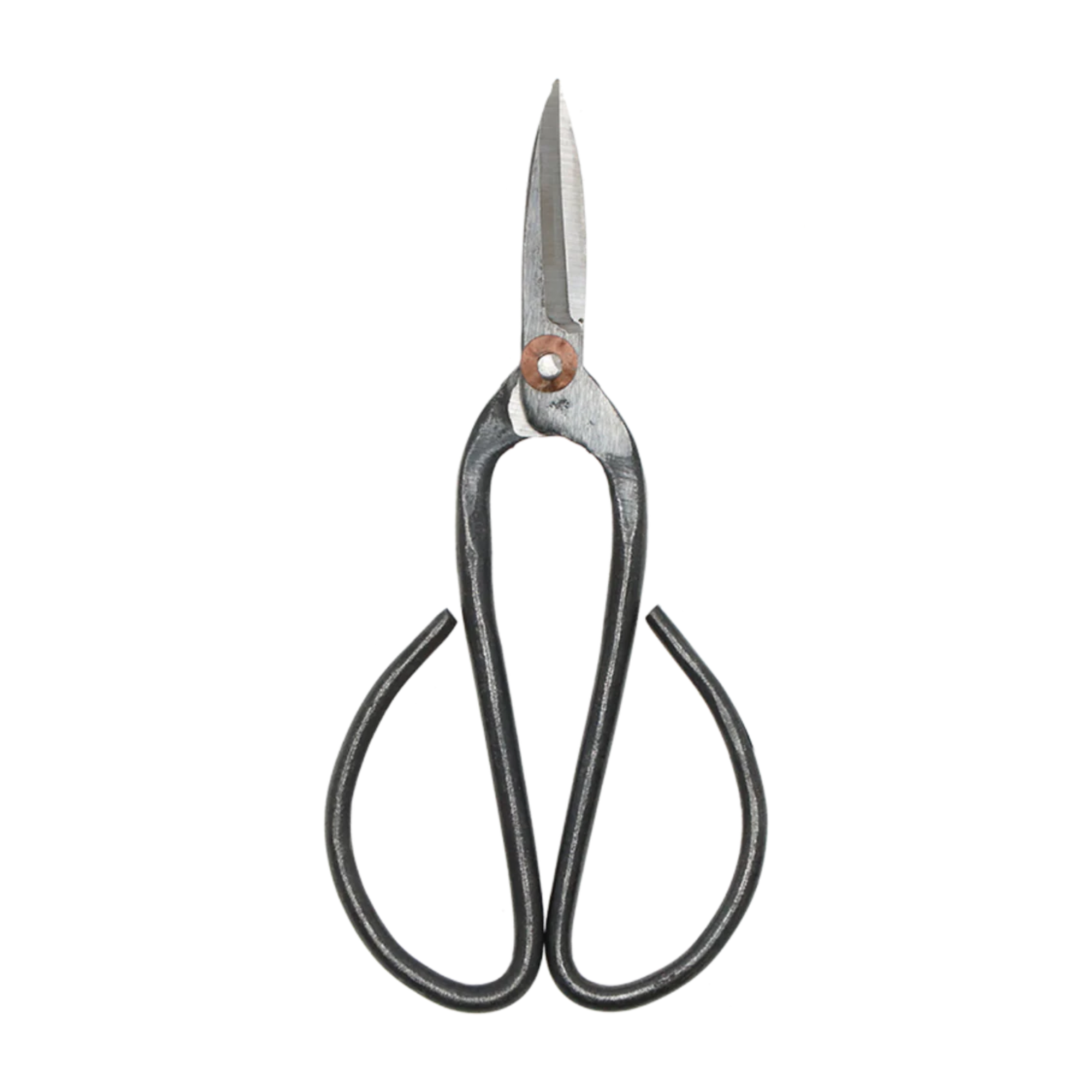 Bonsai shears L - 19 cm - Bonsai tool