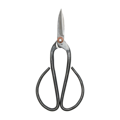 Bonsai shears L - 19 cm - Bonsai tool