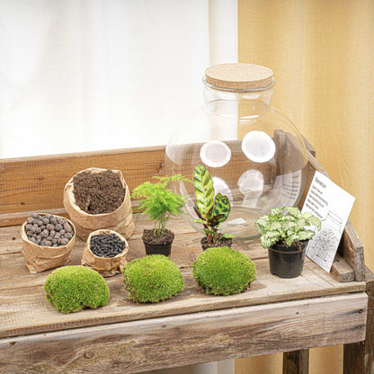 DIY Planten terrarium (met verlichting) - Bolder Bob - Ø 31 cm ↑ 30 cm - Met LED-kurk