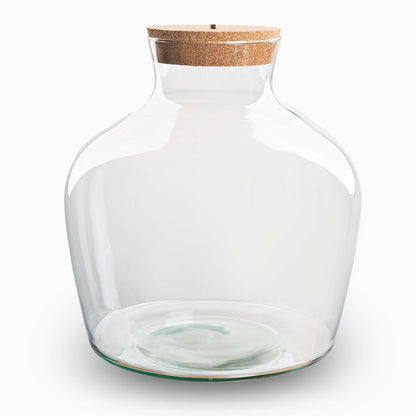 Terrarium fles met verlichting - Fat Joe - Ø 29 cm ↑ 30 cm
