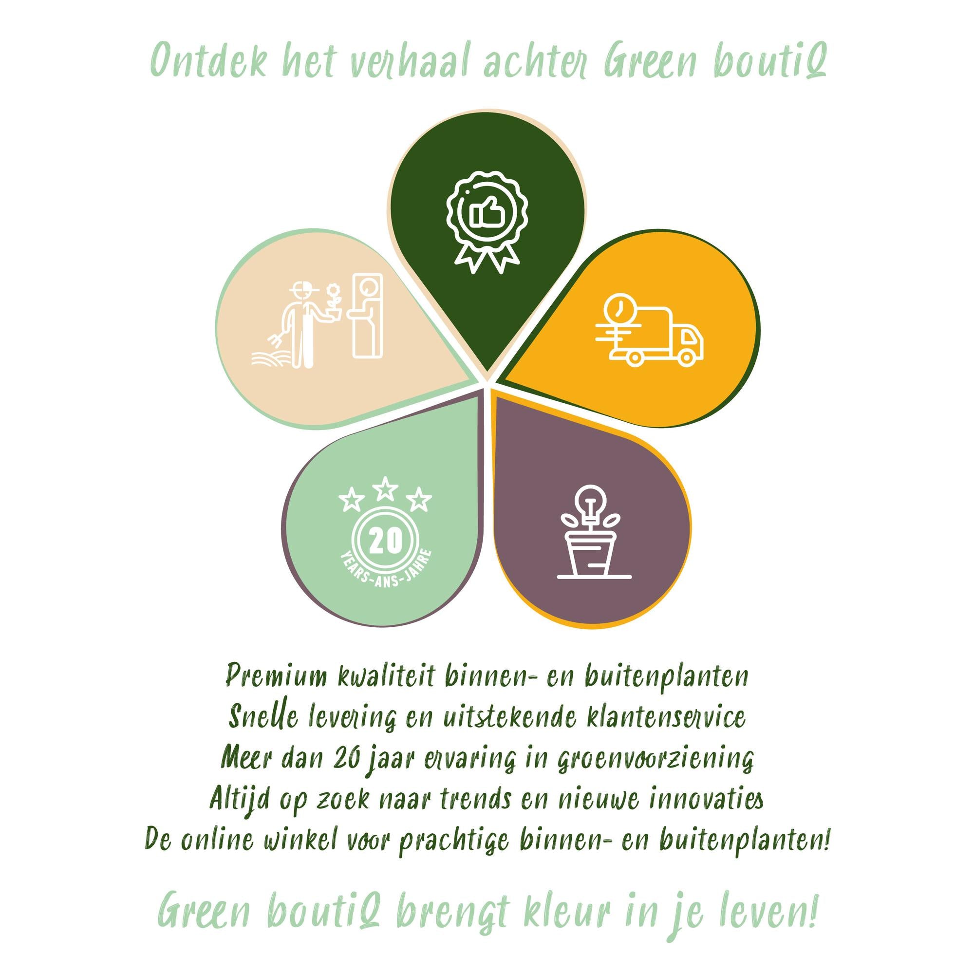 Green boutiQ - Bodembedekker - Winterhard - Sedum mat - Bestaat uit 10 soorten - X4 - Weinig Onderhoud - Lengte 50 Breedte 30