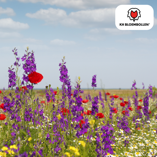 Wilde Bloemenzaad Mengsel – 100 gram | Goed voor Bijen, Vlinders & Biodiversiteit | ± 30–50 m² (100 stuks)