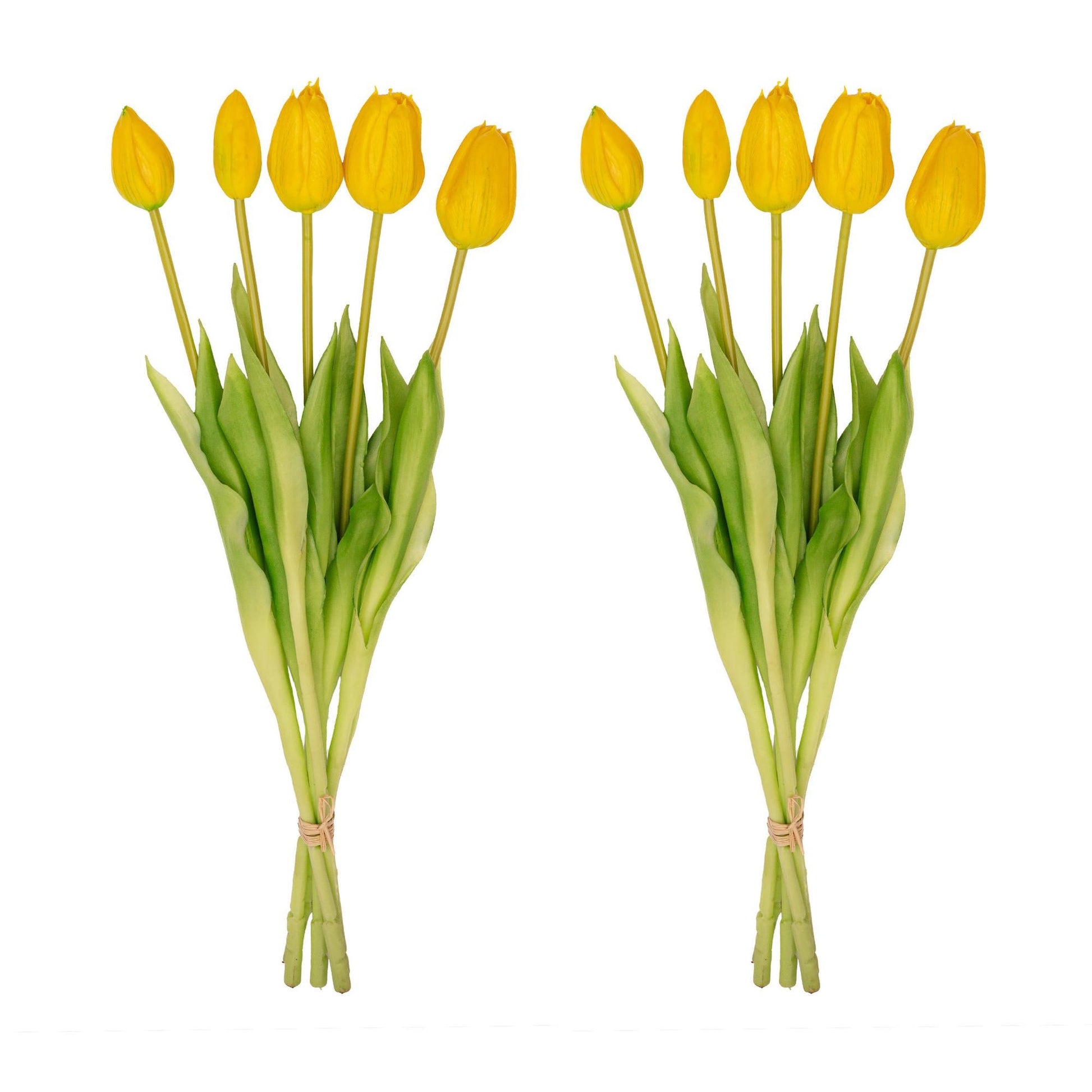 Vaas Vaas Lady 'Kylie' ↑ 27 cm + 10x real touch Tulpen Geel (yellow) - Happy City Plants